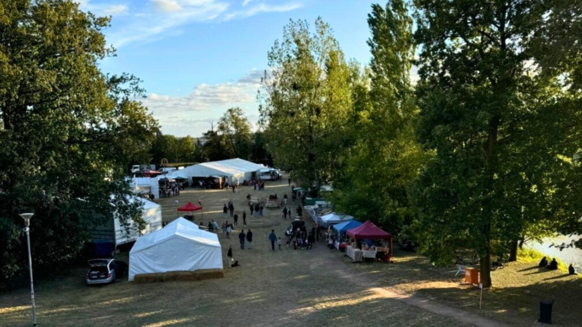 Bauernmarkt 2024