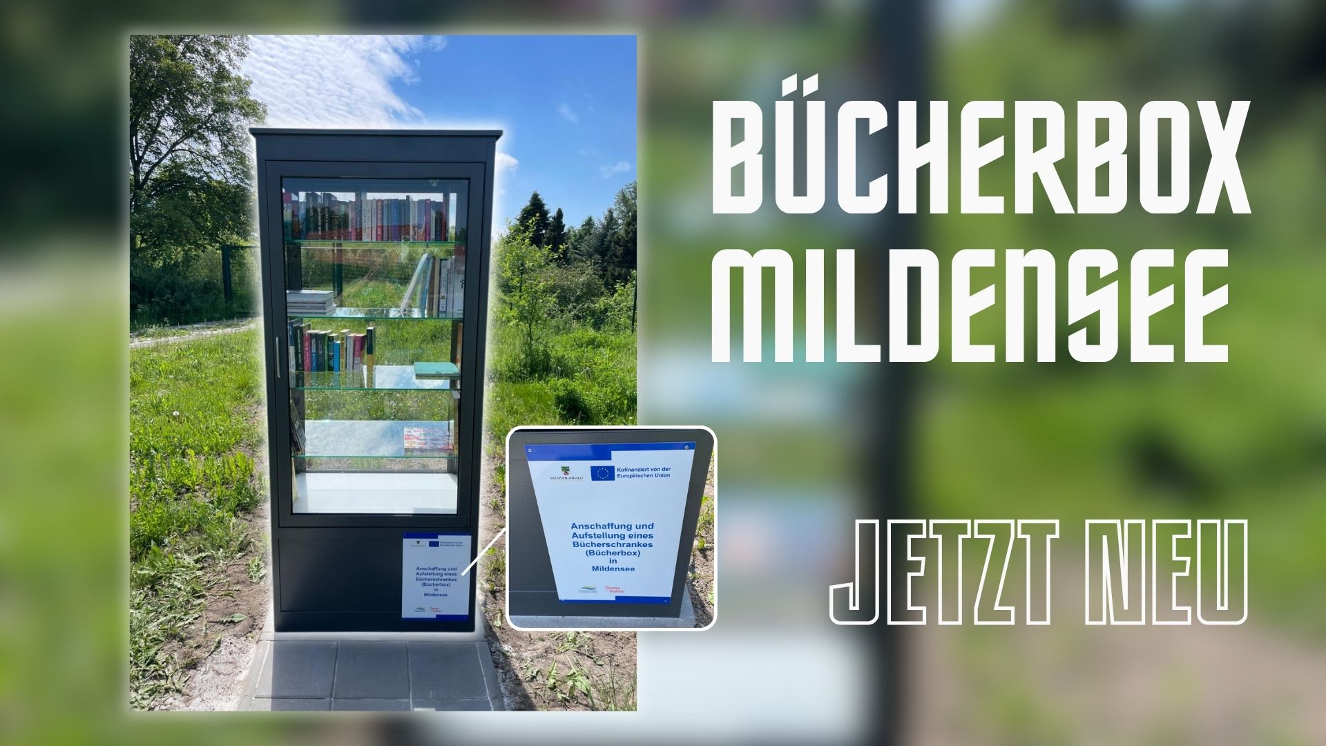 Bücherbox Mildensee