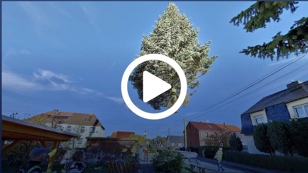 be82be95 eb7d 4b1d 833e 051463924cc9