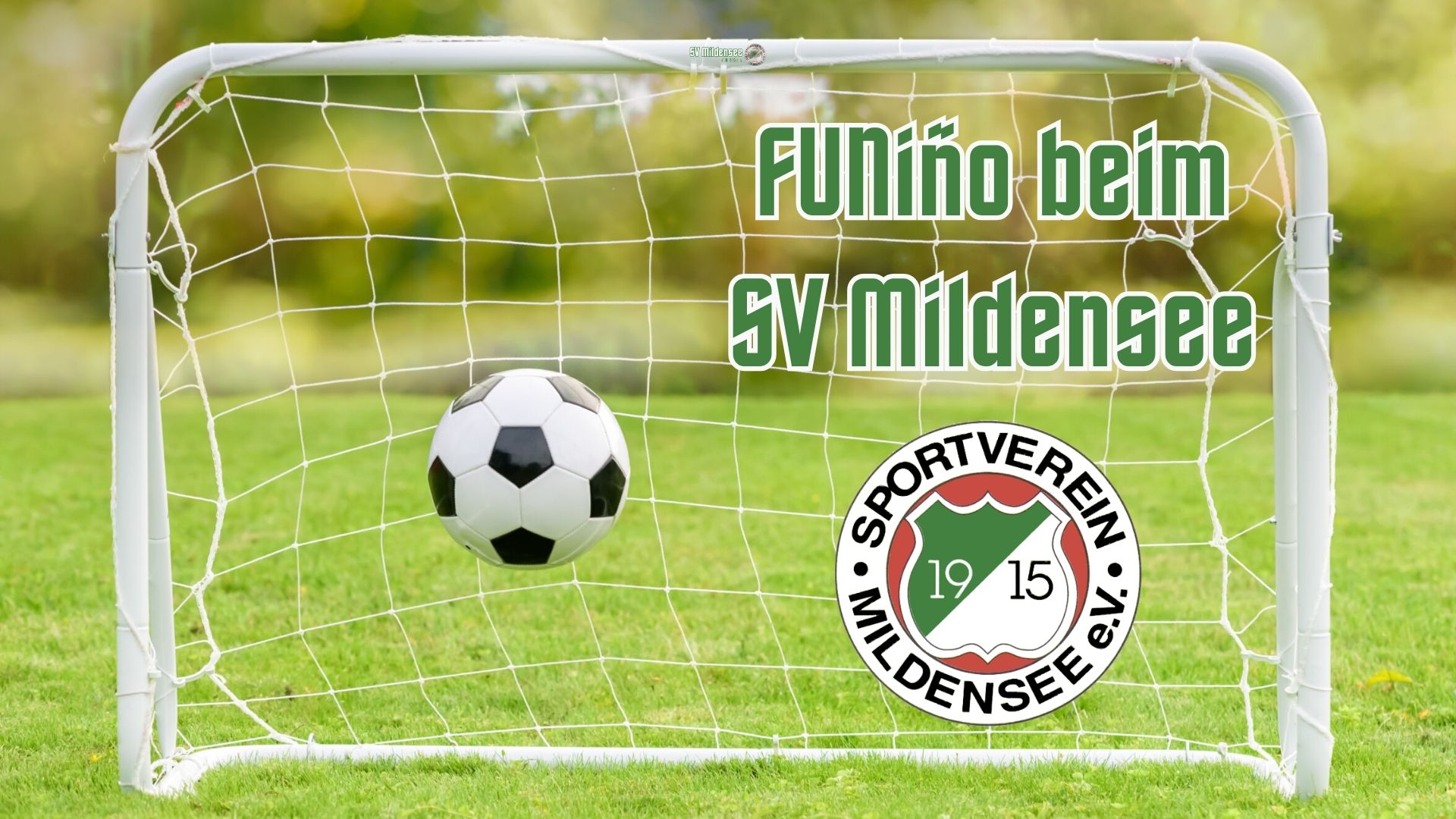 Bild Funino 1