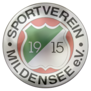 Profile photo of SVM