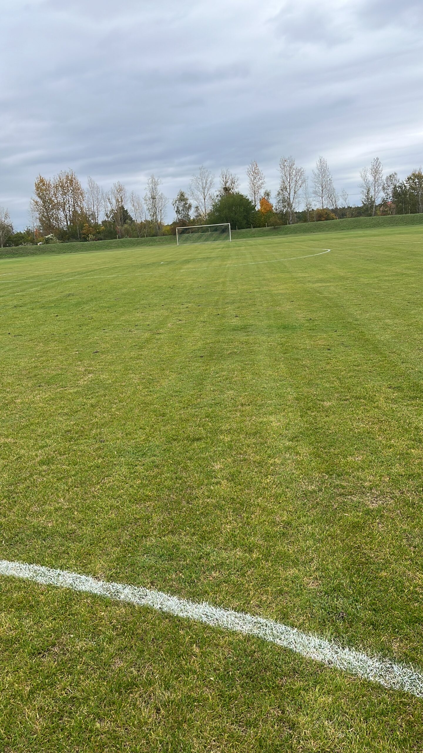 Alex1995 6900904bd291a bp cover image