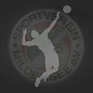 Group logo of Abteilung Volleyball